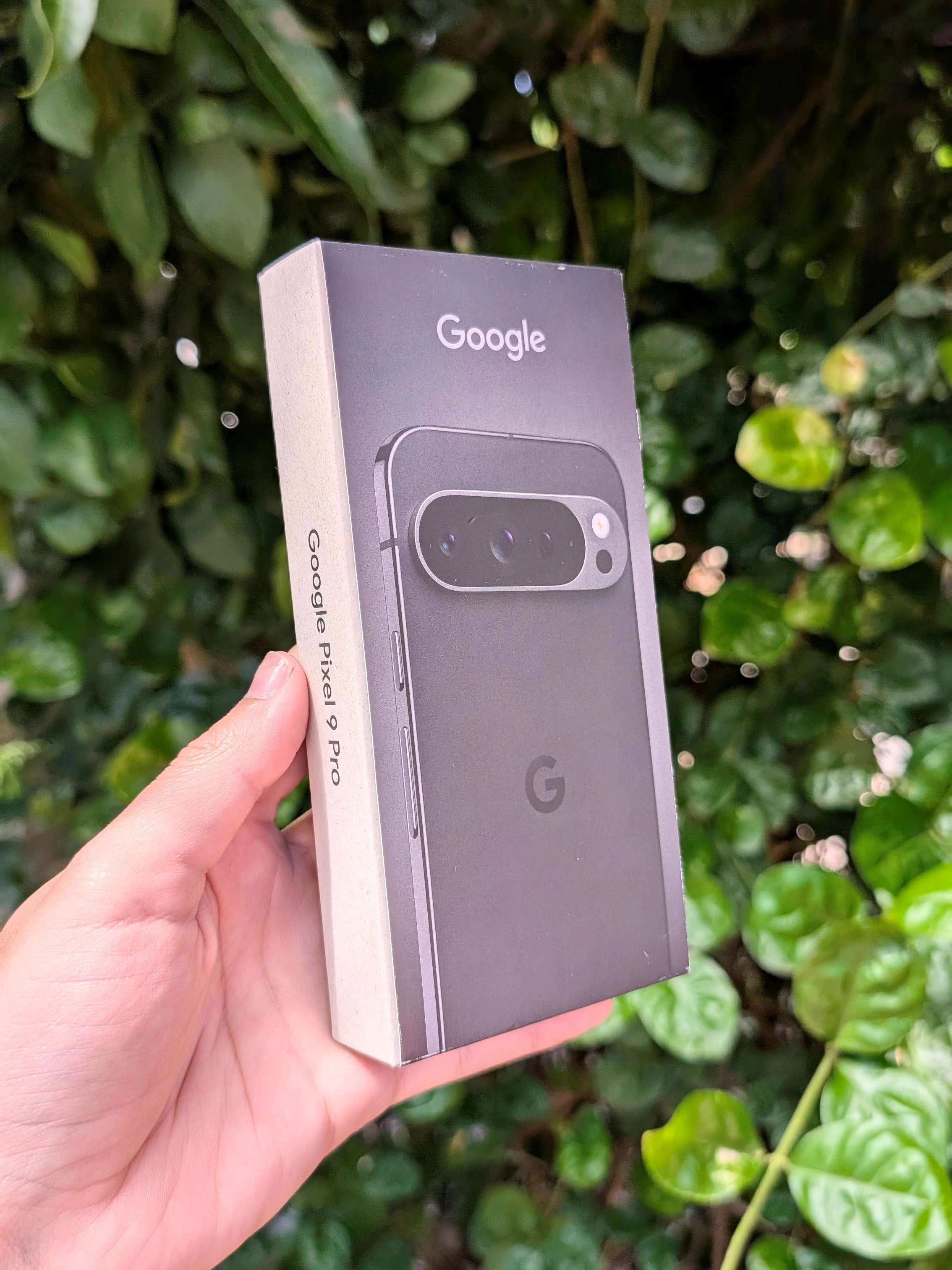 Google Pixel 9 Pro - 256 GB